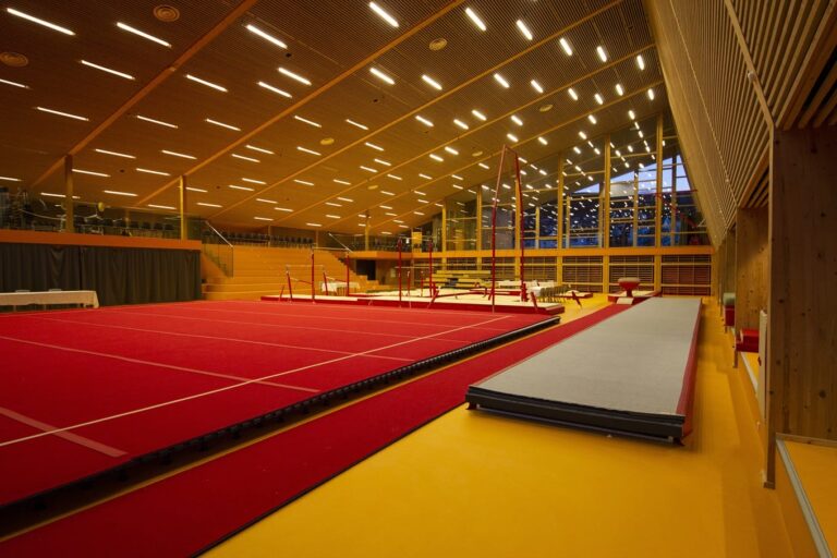 Hale stalowe w&nbsp;sporcie – zalety i&nbsp;zastosowania