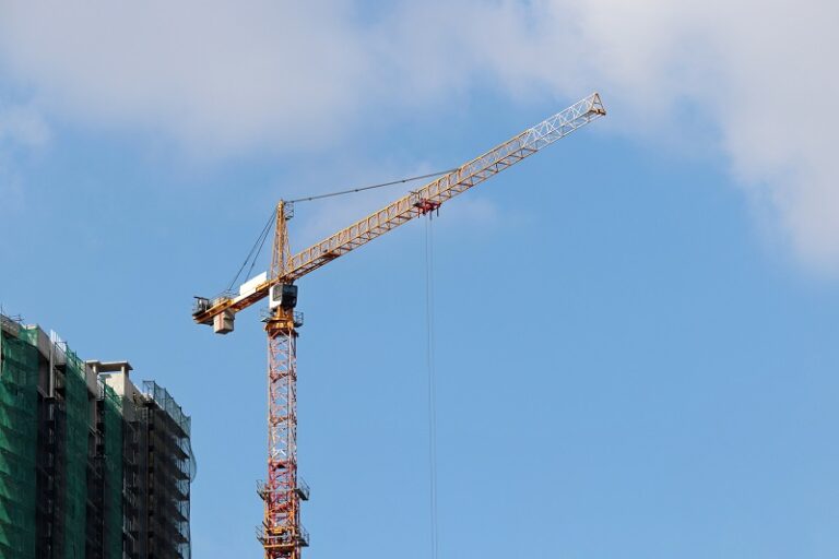 Żuraw wieżowy – wszystko co&nbsp;warto wiedzieć na&nbsp;jego temat